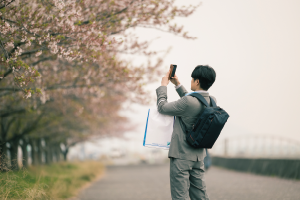 桜堤防